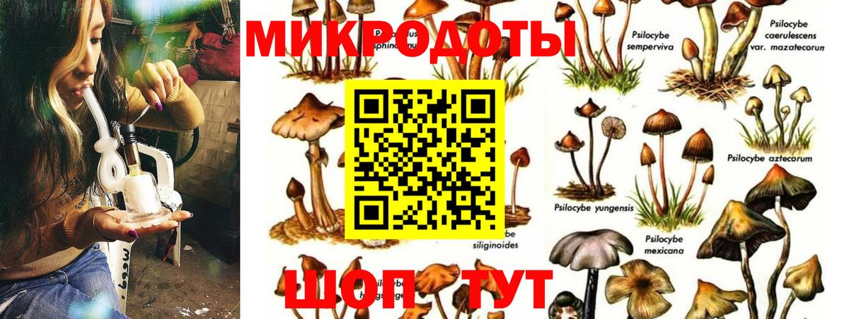 где купить наркоту  Псилоцибиновые грибы Cubensis  Барабинск  Вход с VPN  Галлюциногенные грибы MAGIC MUSHROOMS 